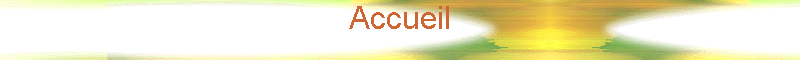 Accueil